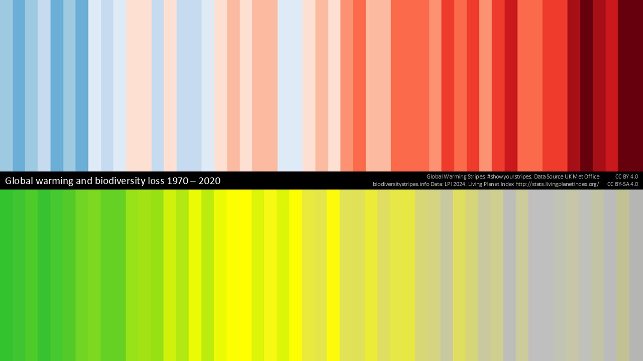 Image credit: biodiversitystripes.info and LPI 2024, Living Planet Index database (www.livingplanetindex.org).